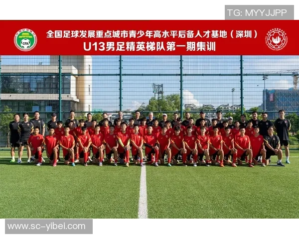 足球俱乐部运作机制解析及其对球队发展的影响研究